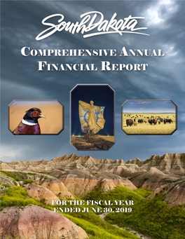 Comprehensive Annual Financial Report Covering Operations for the Fiscal Year Ending June 30, 2019