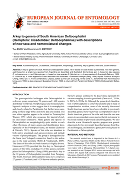 A Key to Genera of South American Deltocephalini (Hemiptera: Cicadellidae: Deltocephalinae) with Descriptions of New Taxa and Nomenclatural Changes