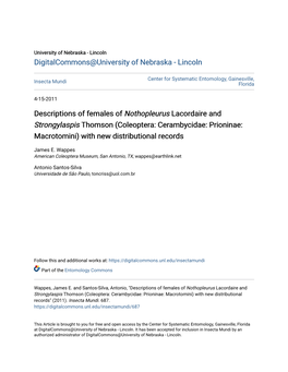 Descriptions of Females of <I>Nothopleurus</I> Lacordaire