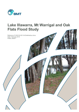 Lake Illawarra, Mt Warrigal and Oak Flats Flood Study