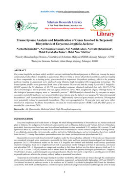 Transcriptome Analysis and Identification of Genes Involved In