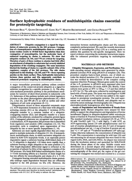 Surface Hydrophobic Residues of Multiubiquitin Chains Essential for Proteolytic Targeting