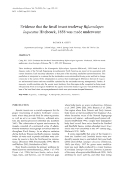 Evidence That the Fossil Insect Trackway Bifurculapes Laqueatus Hitchcock, 1858 Was Made Underwater