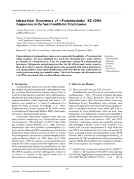 Intracellular Occurrence of Ε-Proteobacterial 16S Rdna Sequences in the Vestimentiferan Trophosome