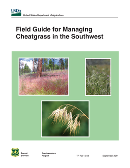 Managing Cheatgrass in the Southwest