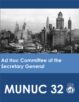 Ad Hoc Committee of the Secretary General