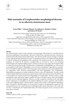 Male Terminalia of Ceraphronoidea: Morphological Diversity in an Otherwise Monotonous Taxon