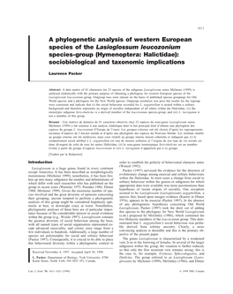 Hymenoptera: Halictidae): Sociobiological and Taxonomic Implications