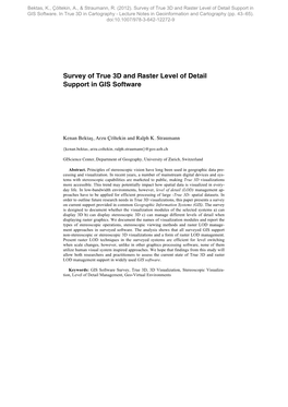 Survey of True 3D and Raster Level of Detail Support in GIS Software