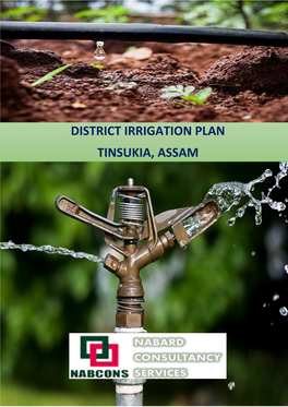 District Irrigation Plan Tinsukia, Assam