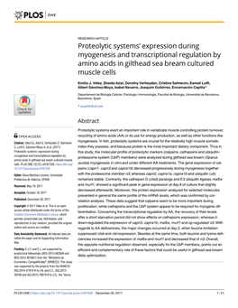 Expression During Myogenesis and Transcriptional Regulation by Amino Acids in Gilthead Sea Bream Cultured Muscle Cells