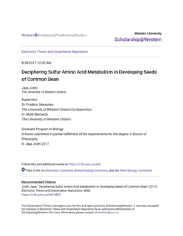 Deciphering Sulfur Amino Acid Metabolism in Developing Seeds of Common Bean