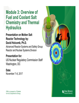 Overview of Fuel and Coolant Salt Chemistry and Thermal Hydraulics