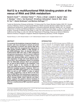 Nol12 Is a Multifunctional RNA Binding Protein at the Nexus of RNA and DNA Metabolism Daniel D