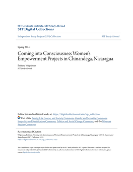 Coming Into Consciousness Women's Empowerment Projects In