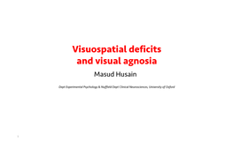Website Lecture 3 Visuospatial Deficits and Visual Agnosia