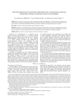 Two New Species of Lepanthes (Orchidaceae: Pleurothallidinae) from the Anchicayá River Valley in Colombia