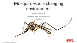 Mosquitoes in a Changing Environment Anders Lindström National Veterinary Institute Sweden