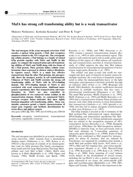 Mafa Has Strong Cell Transforming Ability but Is a Weak Transactivator