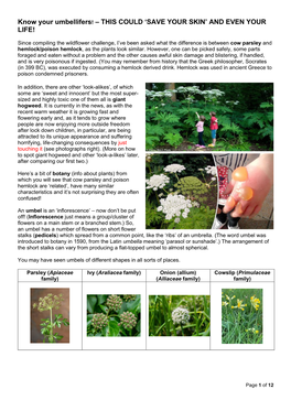 Know Your Umbellifers! – THIS COULD 'SAVE YOUR SKIN' AND