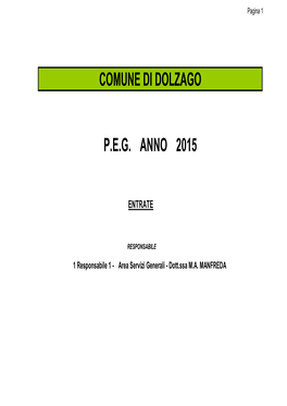 Comune Di Dolzago P.E.G. Anno 2015