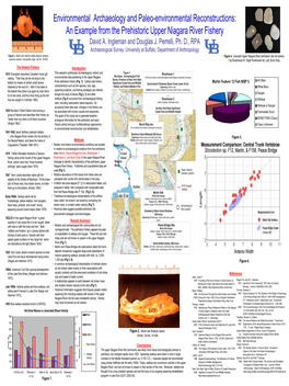 An Example from the Prehistoric Upper Niagara River Fishery David A