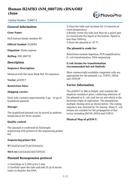 Human H2AFB3 (NM 080720) Cdna/ORF Clone