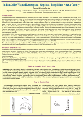 Indian Spider Wasps (Hymenoptera: Vespoidea: Pompilidae): After A