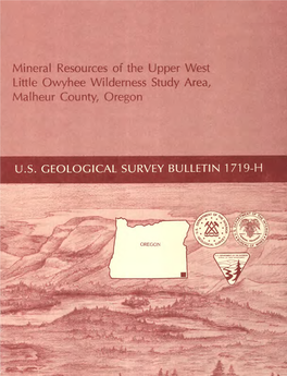 Mineral Resources of the Upper West Little Owyhee Wilderness Study Area, Malheur County, Oregon