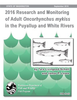 2016 Research and Monitoring of Adult Oncorhynchus Mykiss in the Puyallup and White Rivers