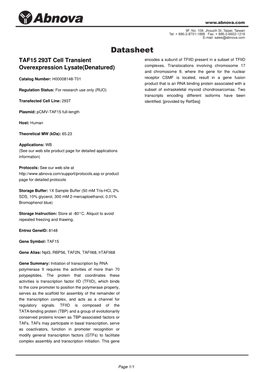 TAF15 293T Cell Transient Overexpression Lysate