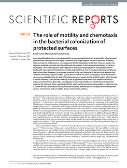 The Role of Motility and Chemotaxis in the Bacterial Colonization Of