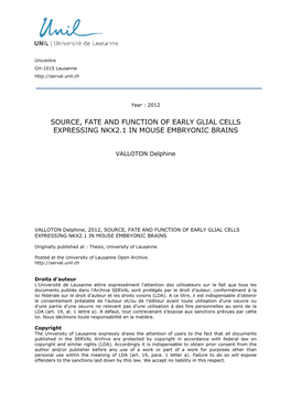 Source, Fate and Function of Early Glial Cells Expressing Nkx2.1 in Mouse Embryonic Brains