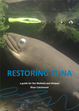 Restoring Tuna – a Guide for the Waikato and Waipaa River