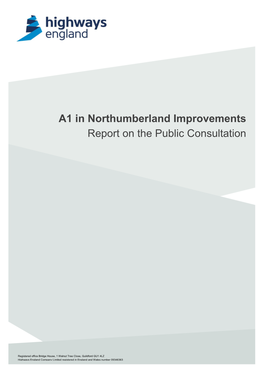 Consultation Report