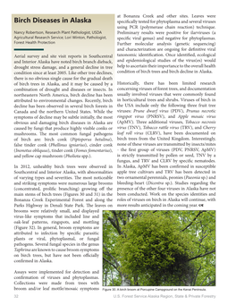 Birch Diseases in Alaska Specifically Tested for Phytoplasma and Several Viruses Using PCR (Polymerase Chain Reaction) Technique