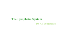 The Lymphatic System Dr