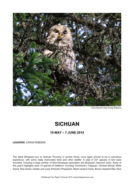Sichuan, China Tour Report 2019
