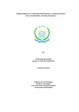 Biodiversity of Wasps (Hymenoptera: Vespidae) from Multan Division, Punjab, Pakistan
