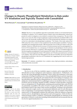 Changes in Hepatic Phospholipid Metabolism in Rats Under UV Irradiation and Topically Treated with Cannabidiol