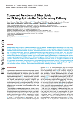 Conserved Functions of Ether Lipids and Sphingolipids in the Early Secretory Pathway