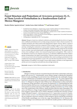 Forest Structure and Projections of Avicennia Germinans (L.) L