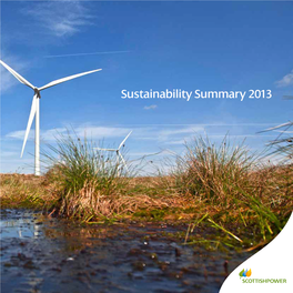 Sustainability Summary 2013 >> Sustainability Summary 2013