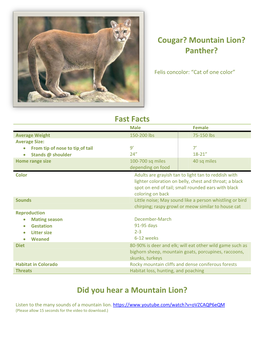 Cougar? Mountain Lion? Panther?