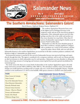 Salamander News