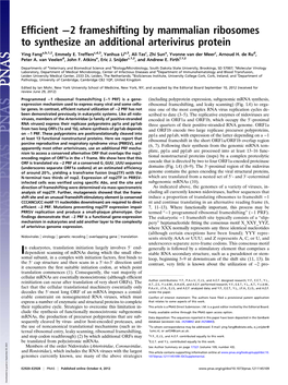 Efficient −2 Frameshifting by Mammalian Ribosomes To