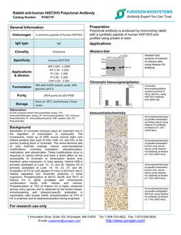 Anti-Human HIST3H3 Polyclonal Antibody Catalog Number: R16071P