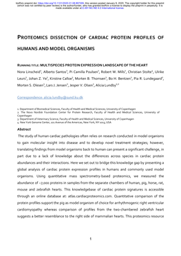 Proteomics Dissection of Cardiac Protein Profiles of Humans And