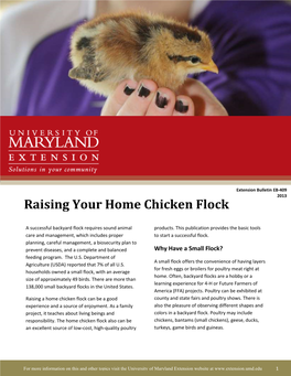 Raising Your Home Chicken Flock X