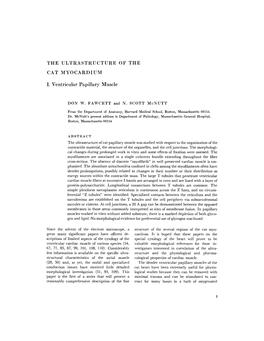 THE ULTRASTRUCTURE of the CAT MYOCARDIUM I. Ventricular